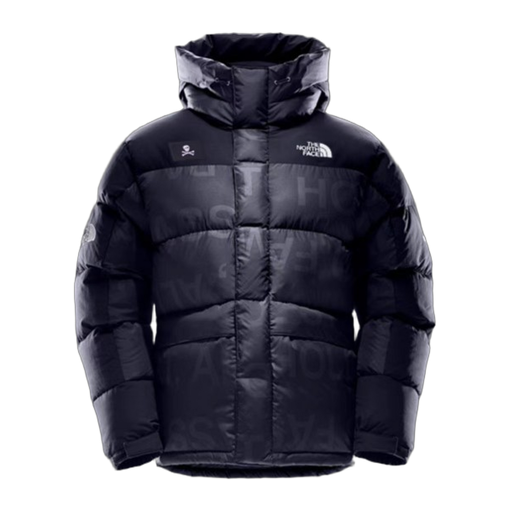 The North Face Urban Exploration Special Series Down Parka – 5J27