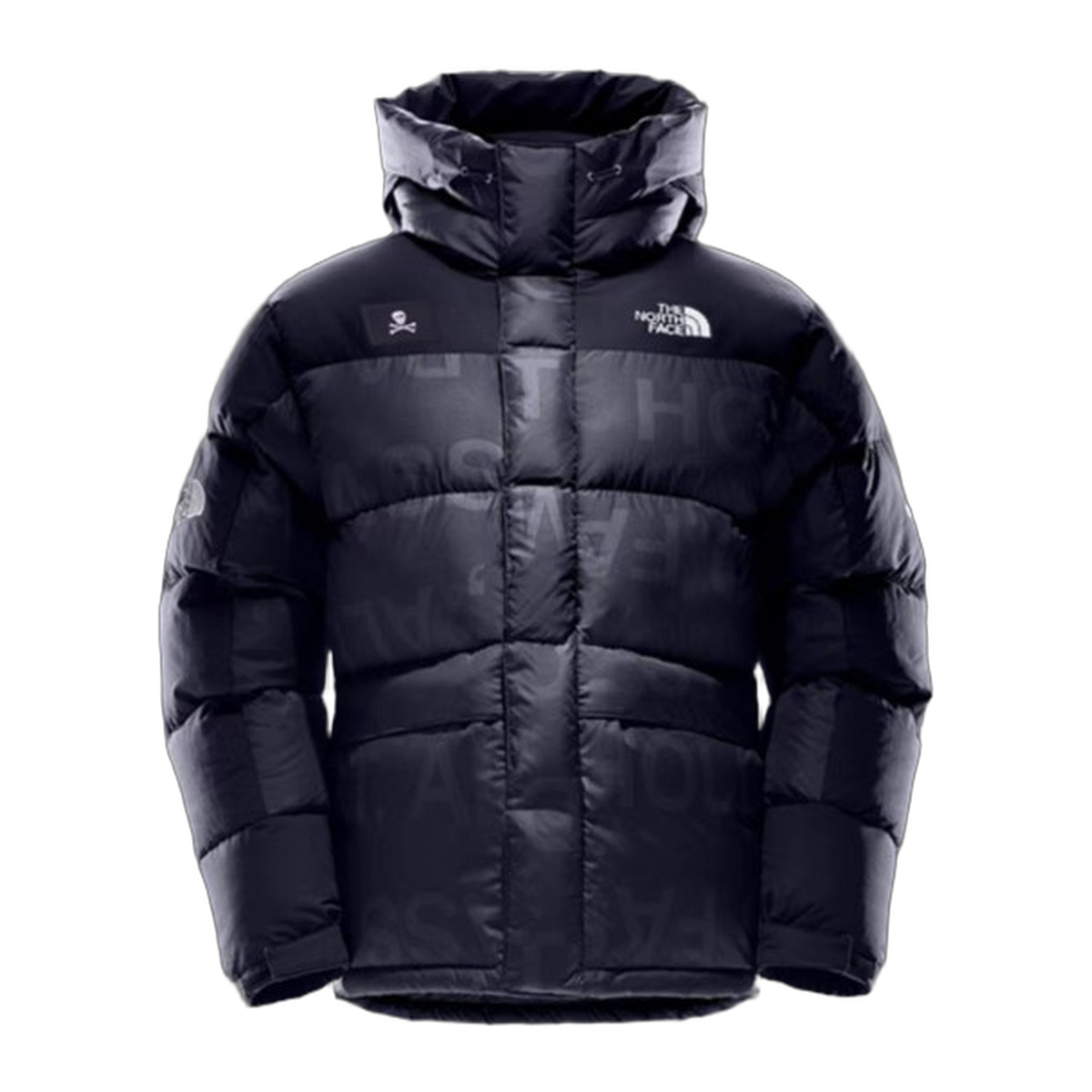 The North Face Urban Exploration Special Series Down Parka – 5J27