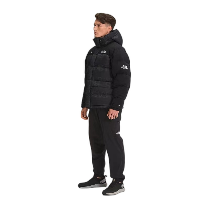 The North Face Urban Exploration Special Series Down Parka – 5J27